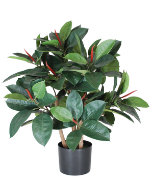 Kunstig Gummiplante 75 cm