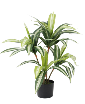 Kunstig Plante Dracaena 75 cm