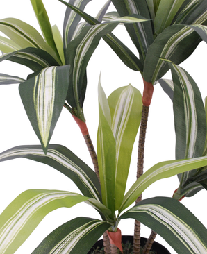 Kunstig Plante Dracaena 75 cm
