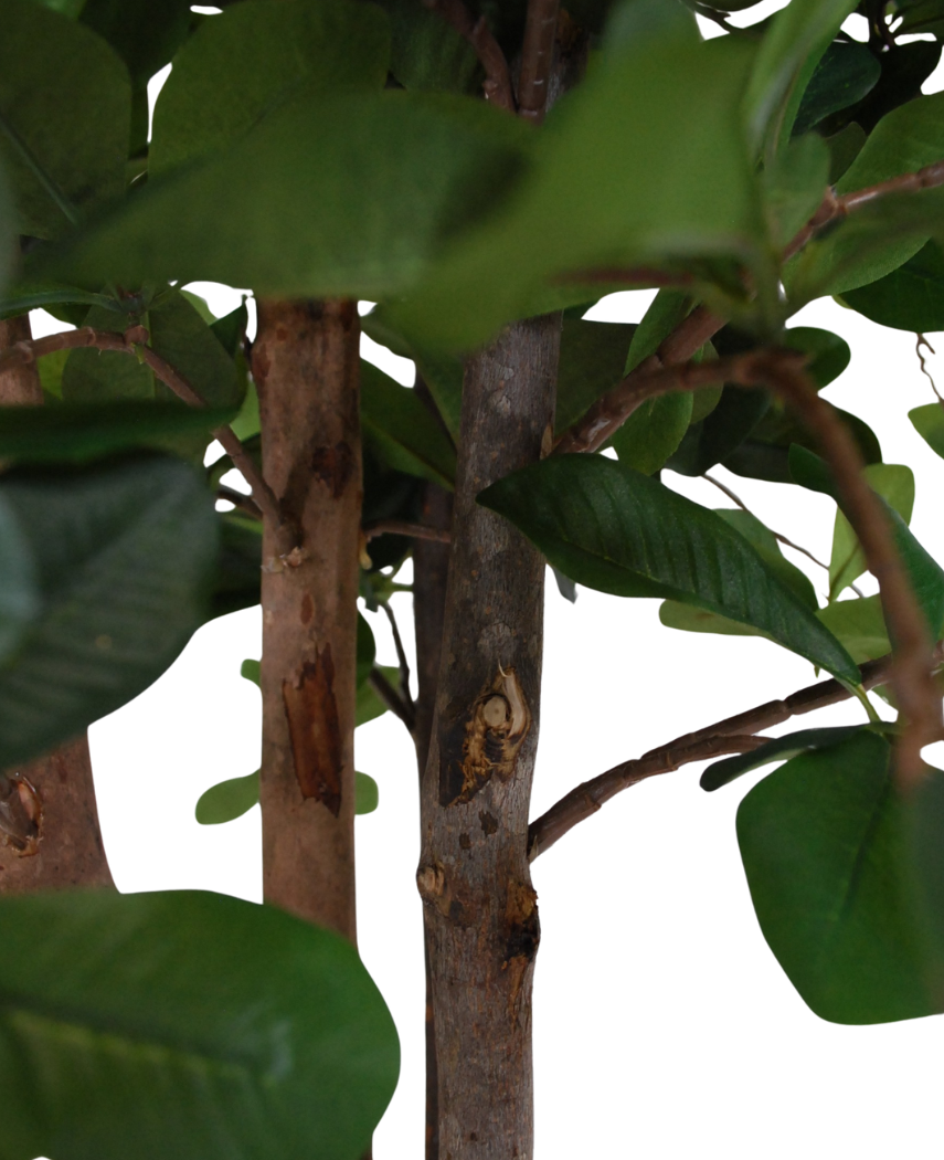 Kunstig  Schefflera Plante 85cm