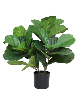 Kunstig Fiolinfiken Plante 50 cm
