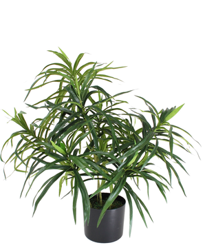 Kunstig Draceana Reflexa 70 cm