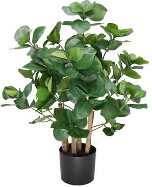 Kunstig Clusia Busk 75cm