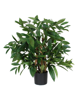 Kunstig Draceane Surcluosa Plante 70 cm