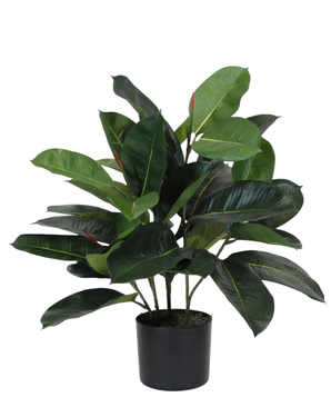 Kunstig Gummiplante 60 cm