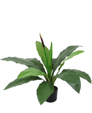 Kunstig Anthurium Plante 50 cm