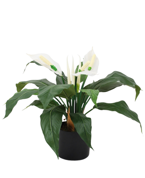 Kunstig Spathiphyllum Fredslilje 50 cm