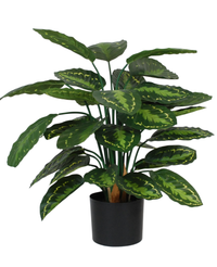Kunstig Calathea 70 cm