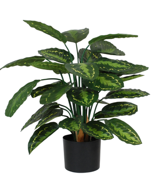 Kunstig Calathea 70 cm