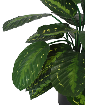 Kunstig Calathea 70 cm