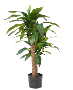 Kunstig Dracaena 100 cm