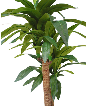 Kunstig Dracaena 100 cm