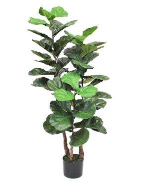 Kunstig Fiolinfiken 3 Stammer 130cm