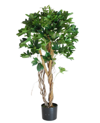 Kunstig Schefflera Tre Unik 120cm