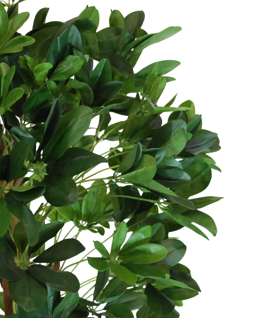 Kunstig Schefflera Tre Unik 120cm