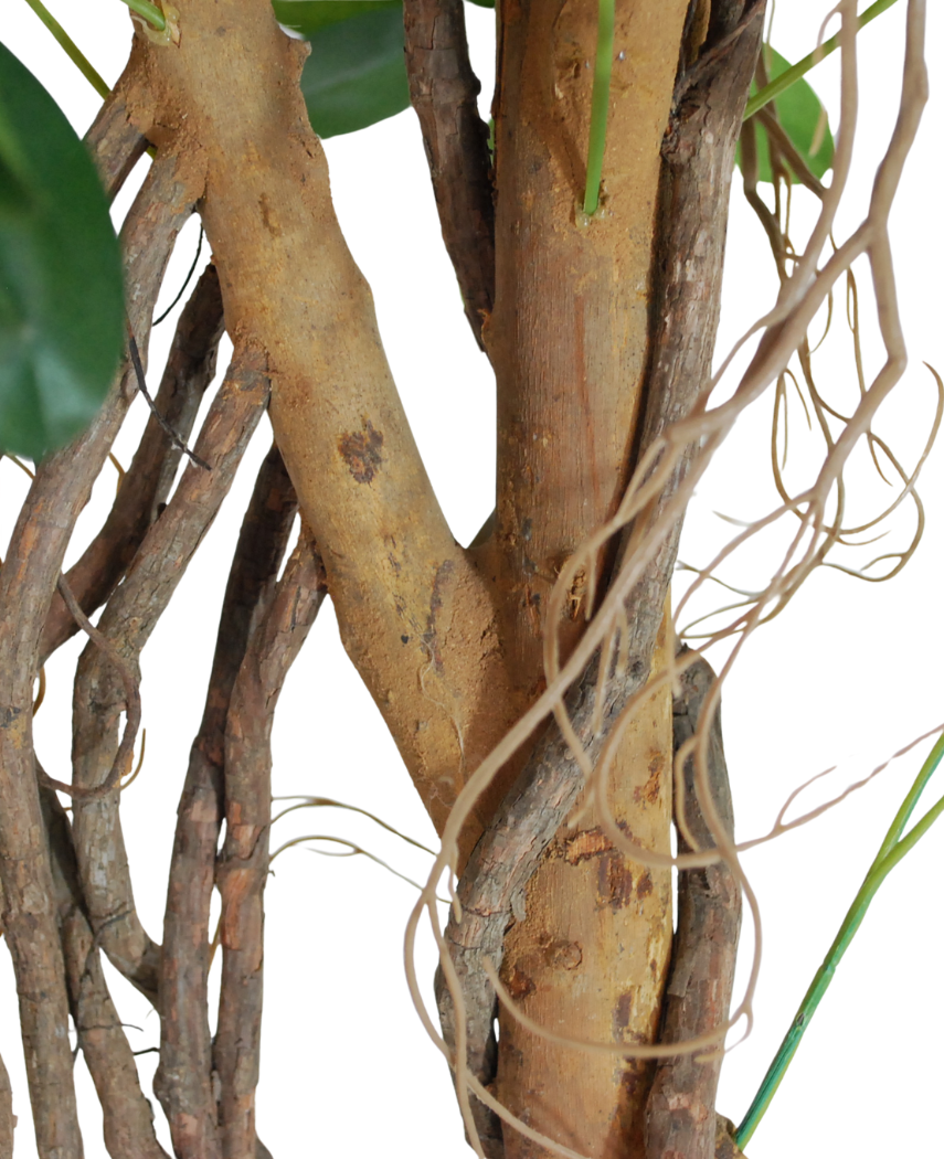 Kunstig Schefflera Tre Unik 120cm