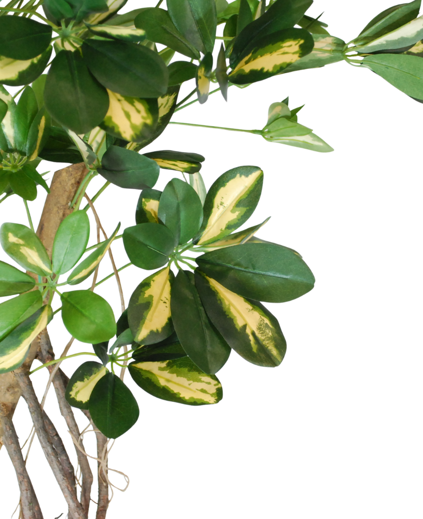 Kunstig Schefflera Unik Gulgrønn 120cm