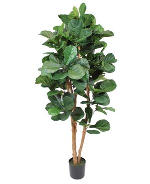 Kunstig Fiolinfiken Tre 170cm