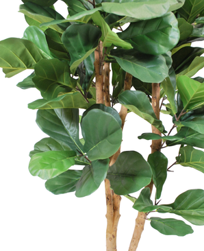 Kunstig Fiolinfiken Tre 170cm