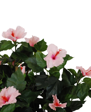 Kunstig Hibiskus Tre Rosa 120cm