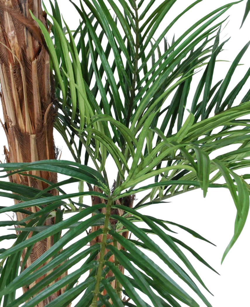 Kunstig Phoenix Palme Calypso 210cm