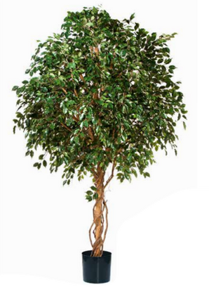 Kunstig Fikus Tre Gigant 320cm