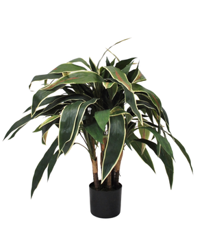 Kunstig Cordyline på stamme 70cm