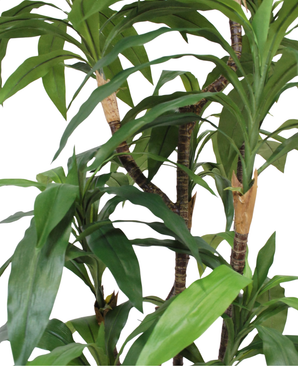 Kunstig Dracaena Fyldig 150cm