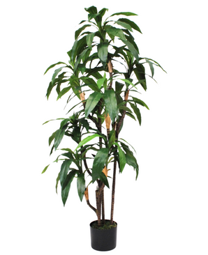 Kunstig Dracaena Fyldig 150cm