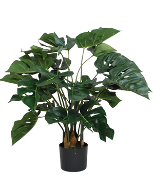 Kunstig Monstera Philo 70cm