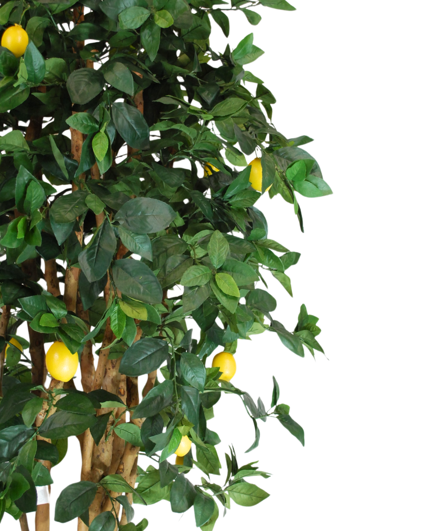Kunstig Sitrontre Wild 180cm