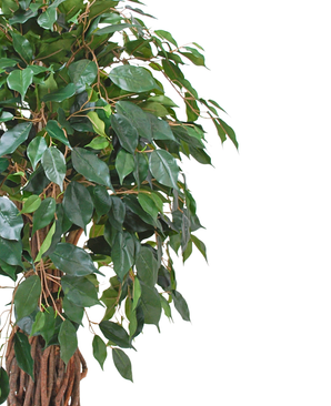 Kunstig Tropical Fikus 120 cm