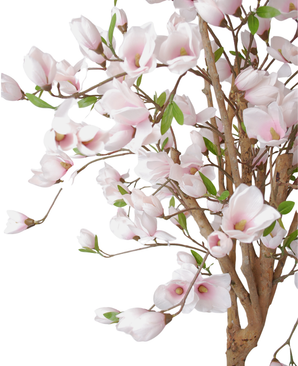 Kunstig Magnolia Blomstertre 180cm