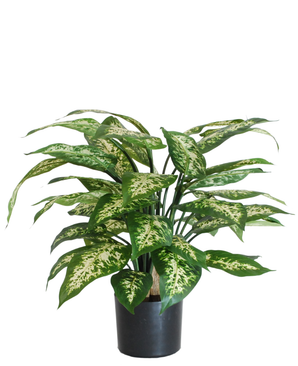 Kunstig Dieffenbachia Fyldig 60cm