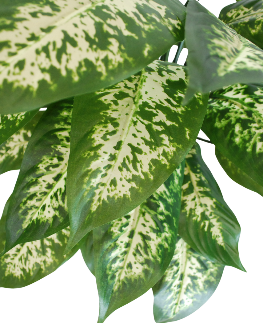 Kunstig Dieffenbachia Fyldig 60cm