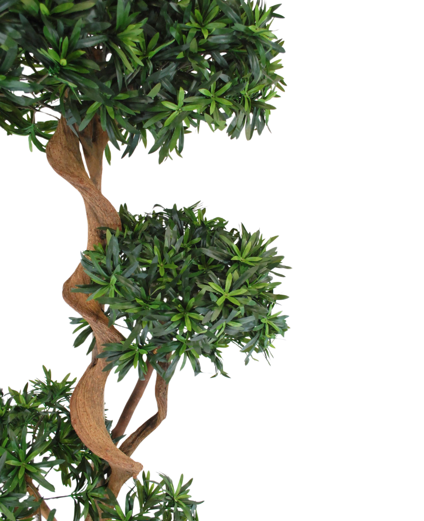 Kunstig Podocarpus Crazy 160cm