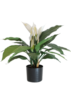 Kunstig Fredslilje Fyldig 50cm