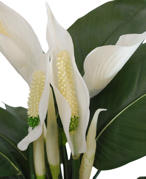 Kunstig Fredslilje Fyldig 50cm