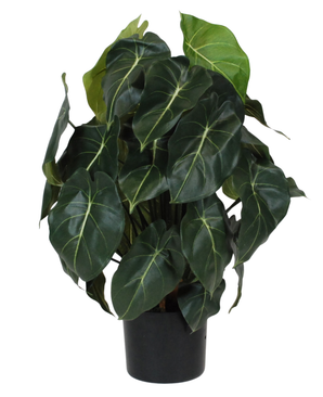 Kunstig Syngonium Grønn 60cm