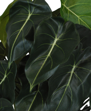 Kunstig Syngonium Grønn 60cm