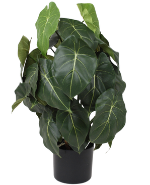 Kunstig Syngonium Grønn 60cm