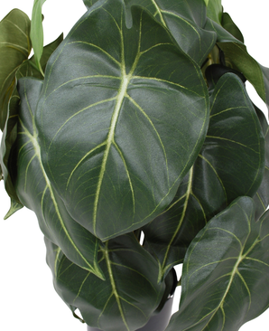 Kunstig Syngonium Grønn 60cm