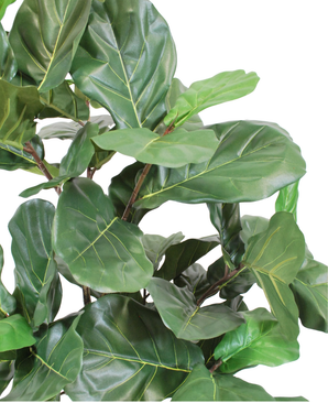 Kunstig Fiolinfiken Tre 180cm