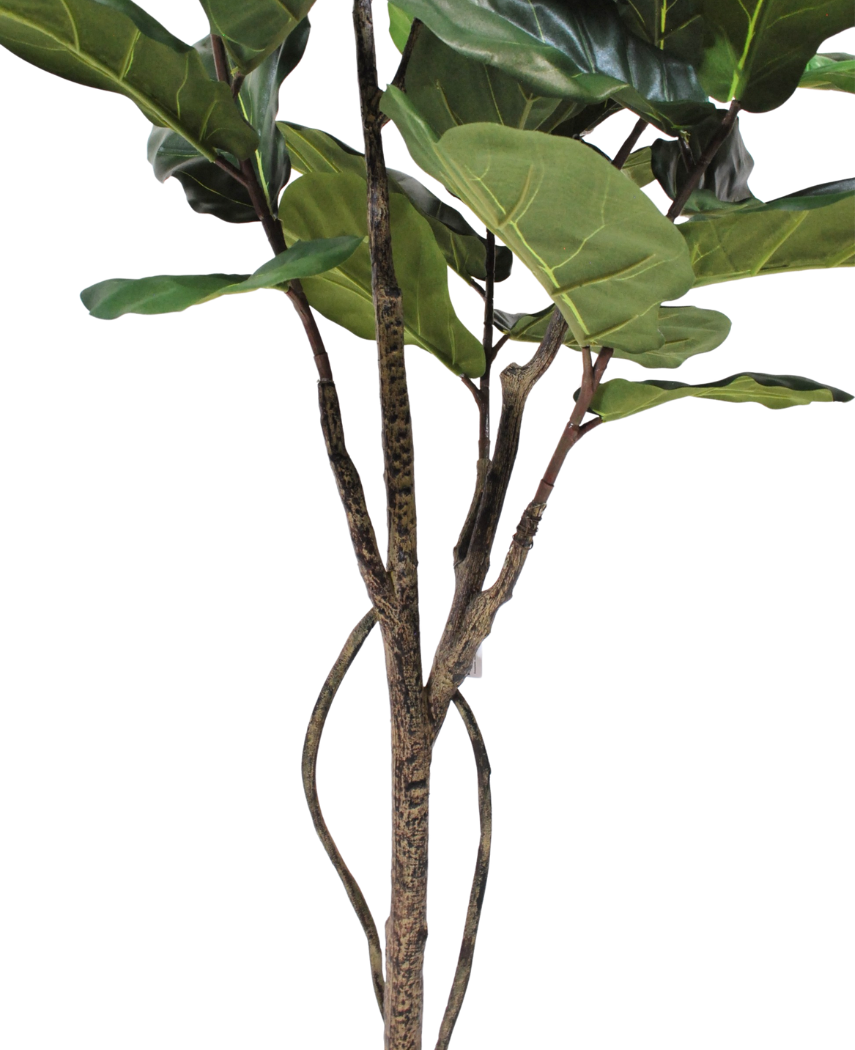 Kunstig Fiolinfiken Tre 180cm