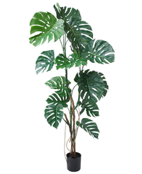 Kunstig Monstera Deliciosa 180 cm