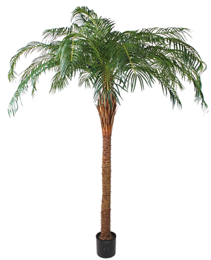 Kunstig Phoenix Palme Majestic 240 cm