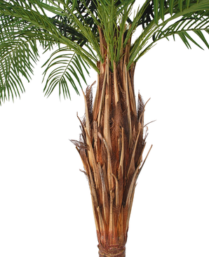 Kunstig Phoenix Palme Majestic 240 cm