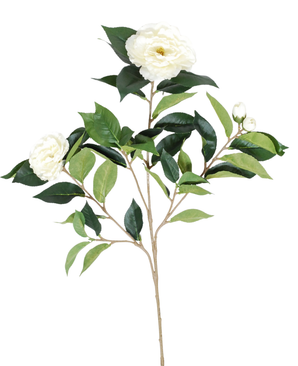 Kunstig Camellia Gren Kremhvit 67cm