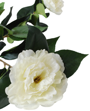 Kunstig Camellia Gren Kremhvit 67cm