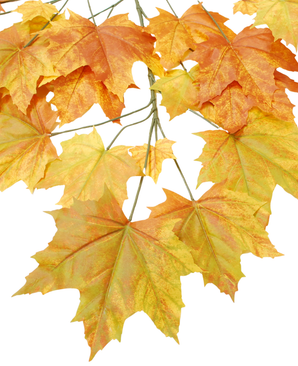 Kunstig Lønn Gren Oransje 76cm